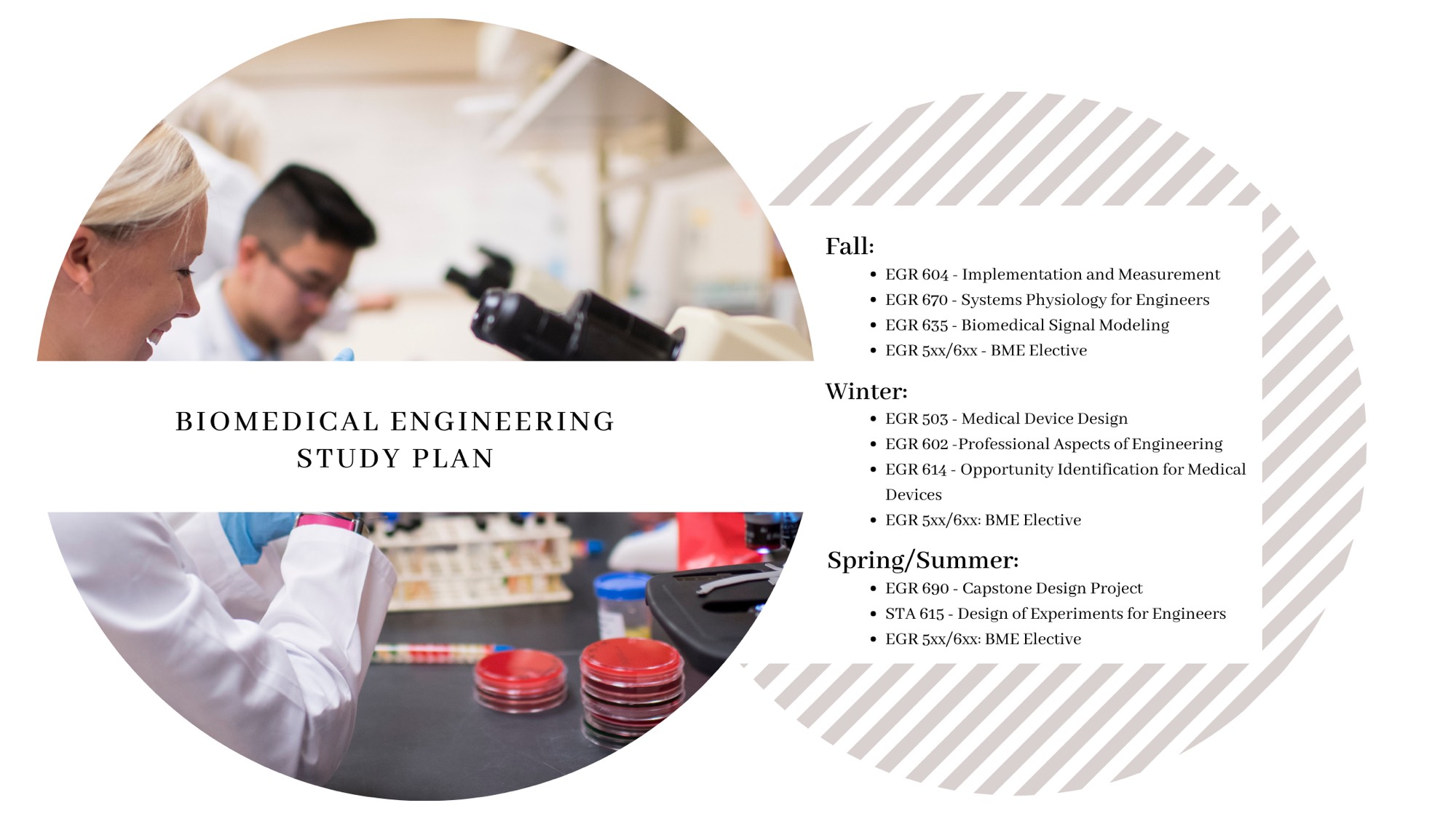 Biomedical Engineering Course Structure